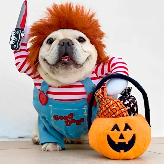 🪓 Disfraz de Chucky para Mascotas – ¡Terror y ternura en un solo look! 👻  Este mes con Descuento del 30%